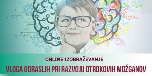 Cikel izobraževanj / vloga odraslih pri razvoju človekovih možganov